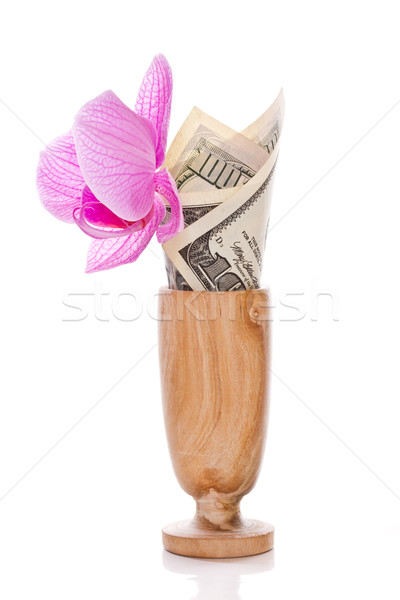 Dollar Miniatur Blumenvase weiß Blume Geld Stock foto © Peredniankina