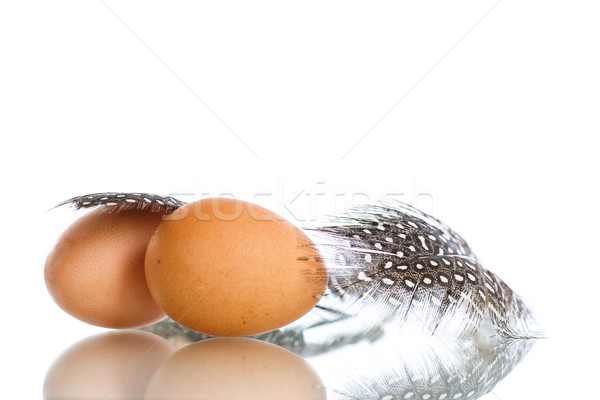 Eggs of a guinea fowl Stock photo © Peredniankina