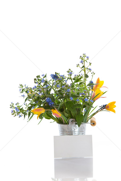Foto stock: Ramo · temprano · flores · de · primavera · blanco · flor · flores