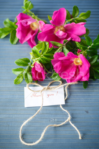 花卉    玫瑰    臀部    木桌    蓝色    木 / flowers rose hip