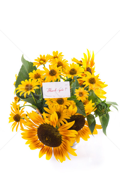 Stockfoto: Boeket · zonnebloemen · dankbaarheid · witte · natuur · achtergrond