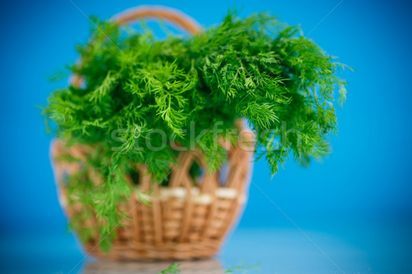 Stock photo: fragrant fresh dill in a basket 