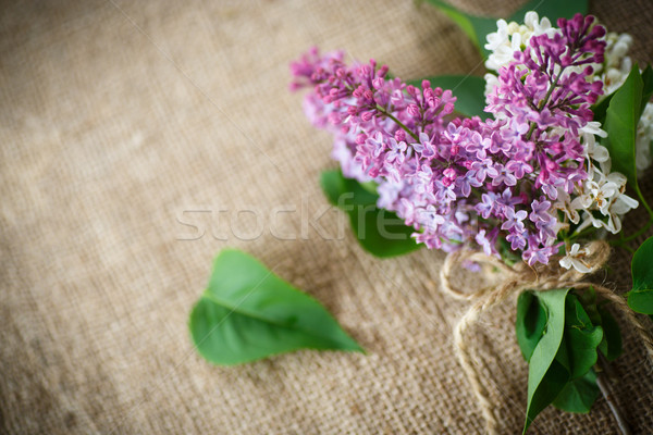 Virágzó orgona gyönyörű asztal zsákvászon természet Stock fotó © Peredniankina