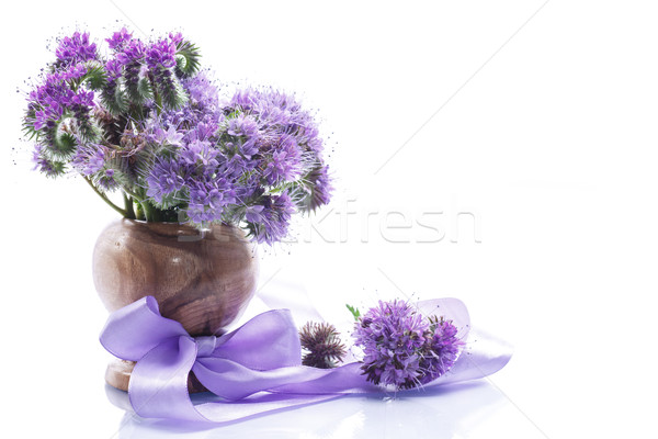 Ramo flores azul blanco naturaleza fondo Foto stock © Peredniankina