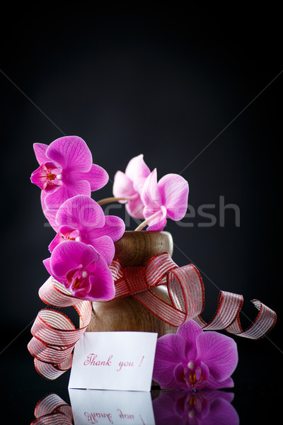 beautiful branch Phalaenopsis with gratitude Stock photo © Peredniankina