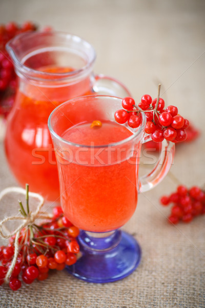 viburnum compote Stock photo © Peredniankina