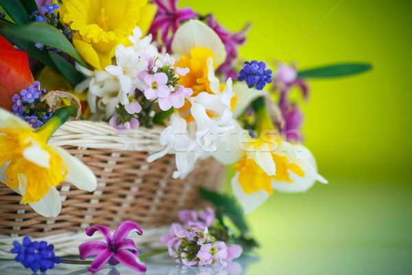 美しい 花束 春の花 緑 春 自然 ストックフォト © Peredniankina