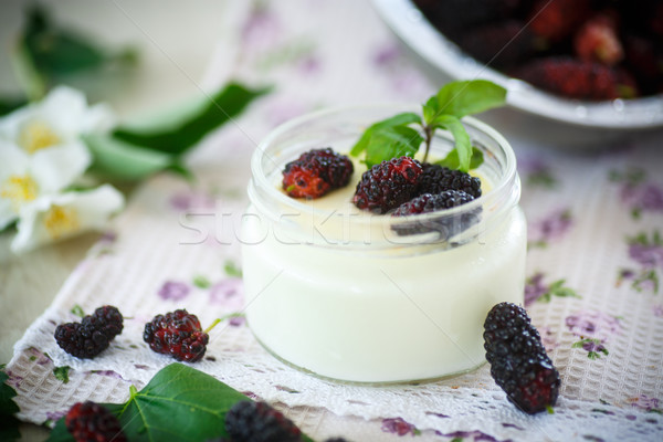  yogurt with mulberry Stock photo © Peredniankina