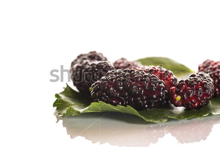 mulberry Stock photo © Peredniankina