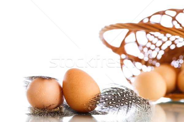 Eier Guinea Geflügel weiß Ostern Stock foto © Peredniankina