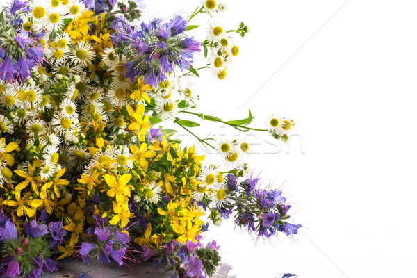 bouquet of summer flowers Stock photo © Peredniankina