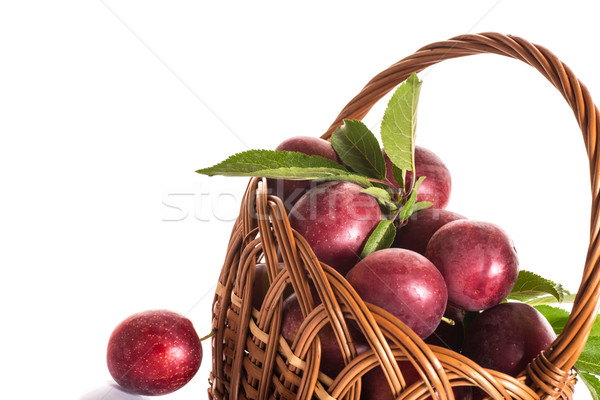 fresh ripe plum Stock photo © Peredniankina