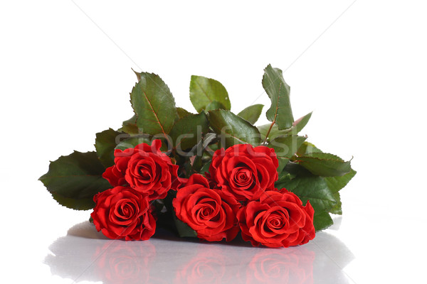 Ramo · rosas · rojas · hermosa · blanco · mujer · flores - foto stock ©  Peredniankina (#3863126) | Stockfresh