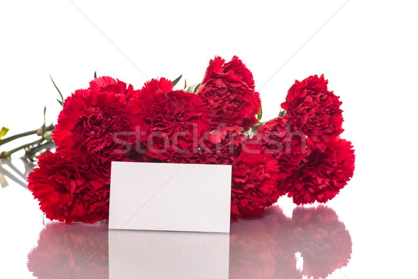 Rot Nelke Bouquet rote Rosen weiß Blume Stock foto © Peredniankina