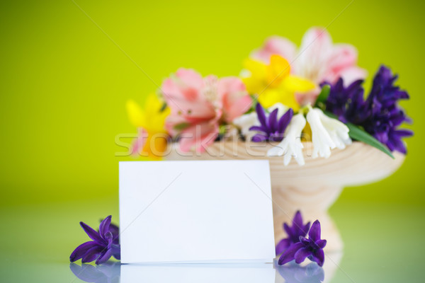 Bella bouquet fiori di primavera verde primavera giardino Foto d'archivio © Peredniankina