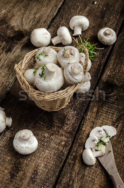Mushrooms raw,  fresh and bio Stock photo © Peteer