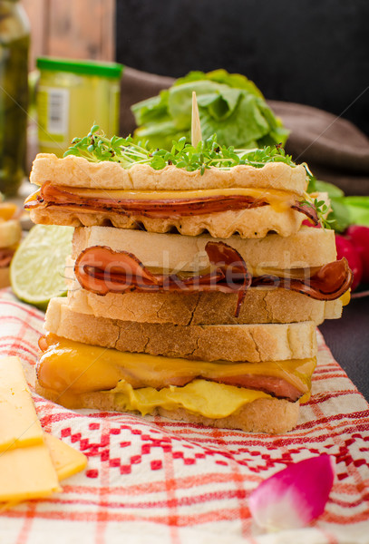 Reuben sandwich with cabbage, beef and spicy dressing Stock photo © Peteer