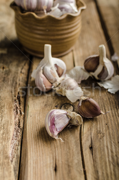 Homemade bio garlic Stock photo © Peteer