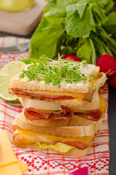 Reuben sandwich with cabbage, beef and spicy dressing Stock photo © Peteer