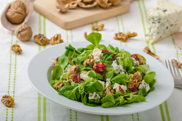 Salade schimmelkaas dressing noten Stockfoto © Peteer