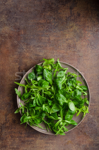 Proaspăt salată bio carne de miel salată verde sănătate Imagine de stoc © Peteer