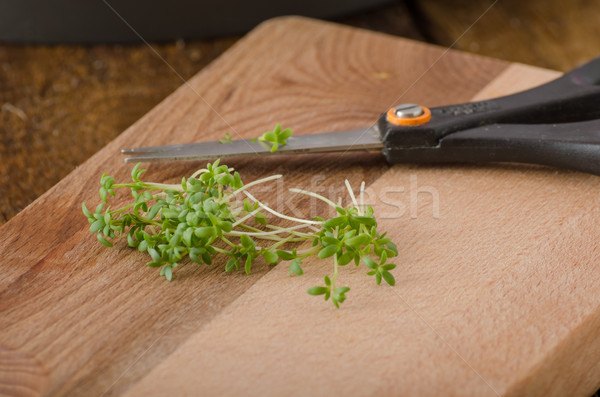 Home grown microgreens, watercress, no chemicalsScrambled eggs with watercress, french toast Stock photo © Peteer