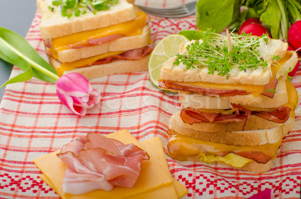 Reuben sandwich with cabbage, beef and spicy dressing Stock photo © Peteer