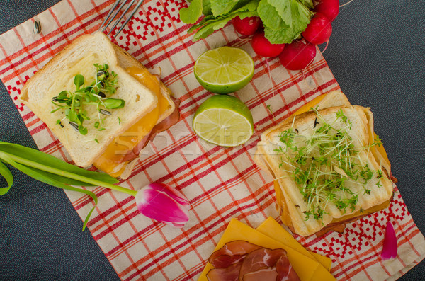 Reuben sandwich with cabbage, beef and spicy dressing Stock photo © Peteer