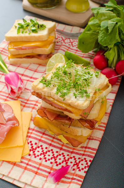 Reuben sandwich with cabbage, beef and spicy dressing Stock photo © Peteer