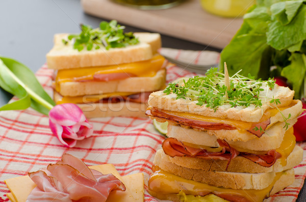 Reuben sandwich with cabbage, beef and spicy dressing Stock photo © Peteer