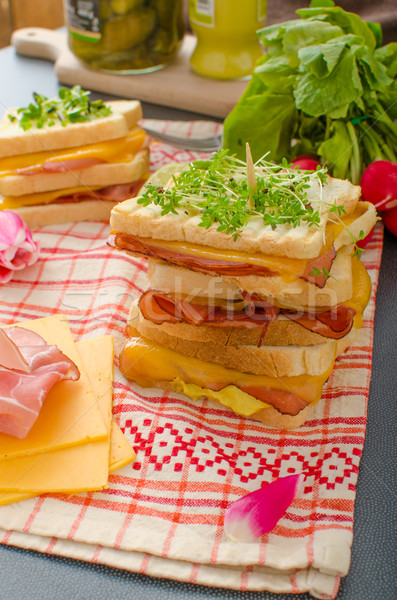 Reuben sandwich with cabbage, beef and spicy dressing Stock photo © Peteer