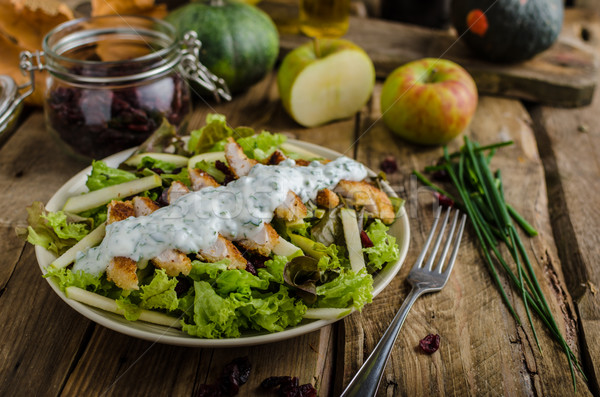 Salata ızgara tavuk basit lezzetli fındık elma Stok fotoğraf © Peteer