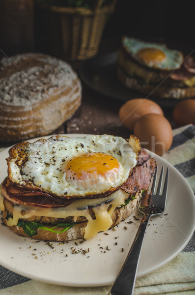 Croque madame Stock photo © Peteer