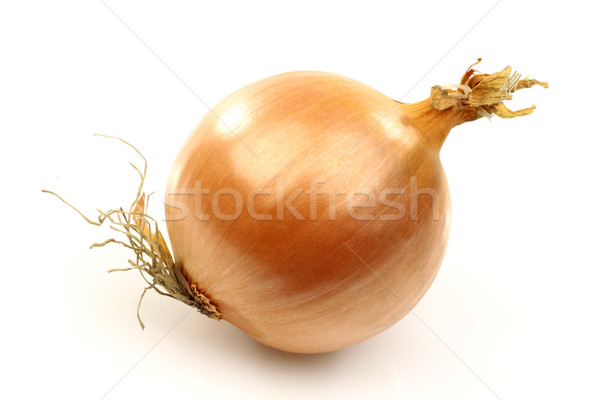 Ganze frischen Zwiebel weiß Essen Kochen Stock foto © peter_zijlstra