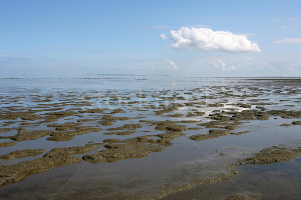 Faible marée mer nord ciel Photo stock © peter_zijlstra