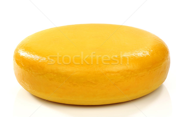 whole cheese called 'Goudse kaas' (Gouda cheese) Stock photo © peter_zijlstra
