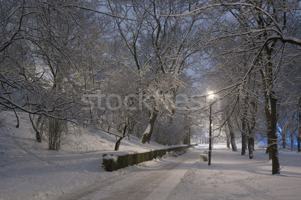 Parque nieve Foto stock © peterguess