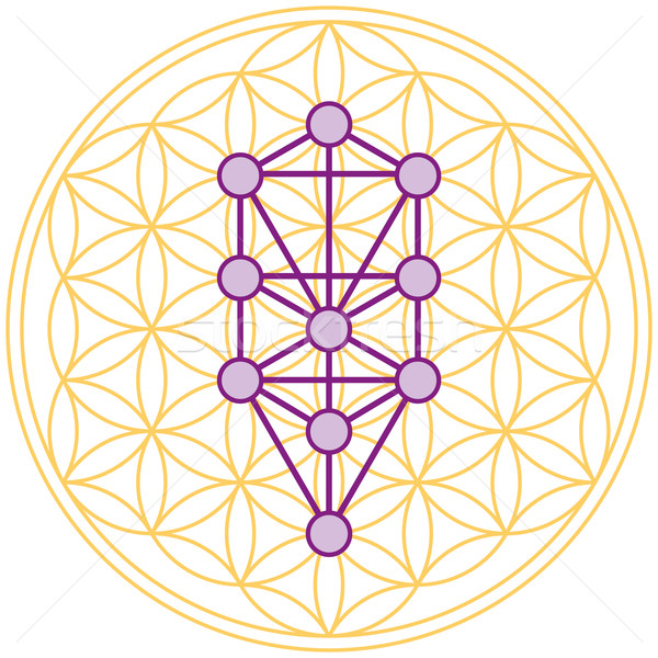 樹 生活 完美 花 十 幾何 商業照片 © PeterHermesFurian