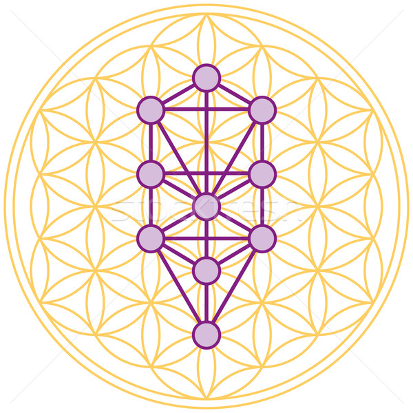 Tree Of Life Fits Perfect In The Flower Of Life Stock photo © PeterHermesFurian