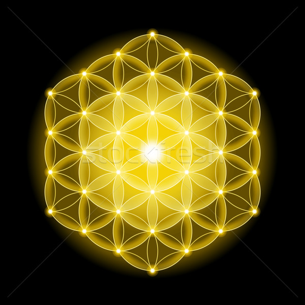 Golden Cosmic Flower of Life With Stars on Black Background Stock photo © PeterHermesFurian