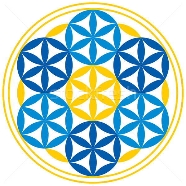 Flower of Life With Spheres Stock photo © PeterHermesFurian