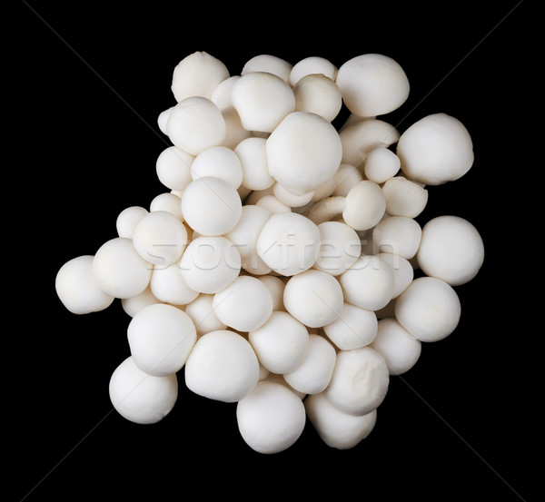 White Beech Mushrooms Top View on Black Background Stock photo © PeterHermesFurian