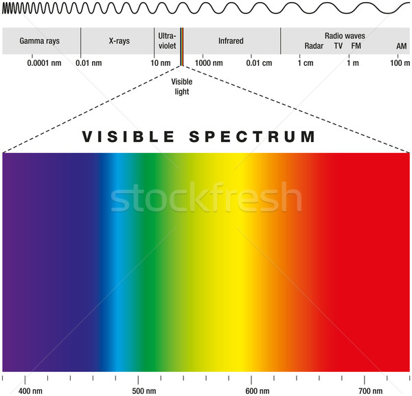 Espectro visível luz possível radiação Foto stock © PeterHermesFurian