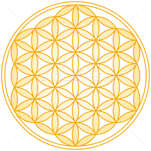 Flower of Life Golden Gradient Stock photo © PeterHermesFurian