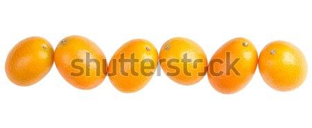 Six Oval Kumquats In A Row On White Background Stock photo © PeterHermesFurian