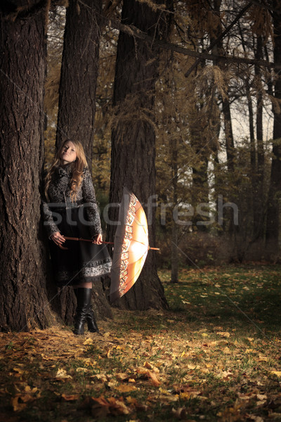 Dziewczyna parasol jesienią parku wieczór drzewo Zdjęcia stock © PetrMalyshev