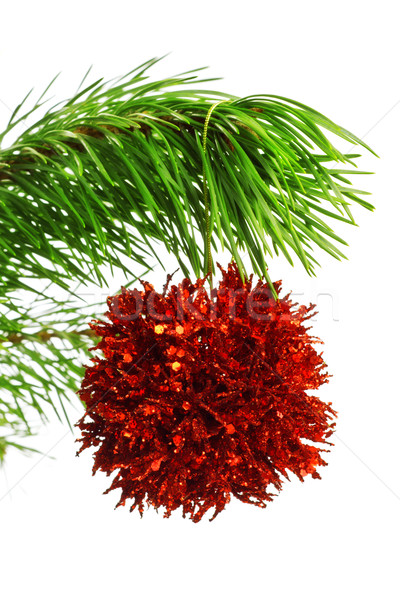 Stock photo: decoration ball on pine branch