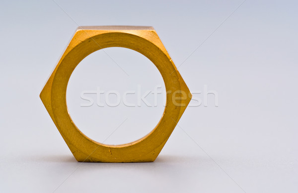 golden nut Stock photo © PetrMalyshev