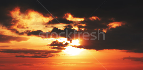 Beautiful Sunset  Stock photo © PetrMalyshev