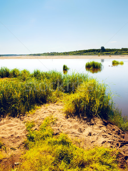 Calm River Stock photo © PetrMalyshev